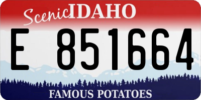 ID license plate E851664