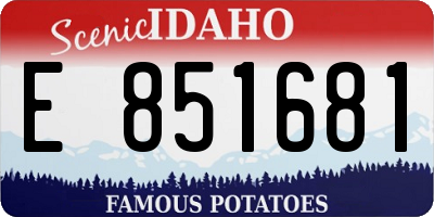 ID license plate E851681