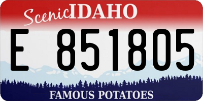 ID license plate E851805