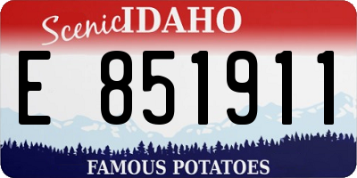 ID license plate E851911
