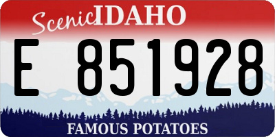 ID license plate E851928