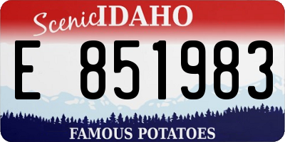 ID license plate E851983