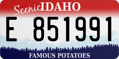 ID license plate E851991