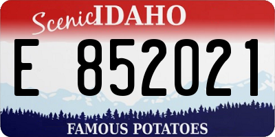 ID license plate E852021
