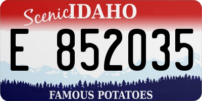 ID license plate E852035