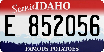 ID license plate E852056