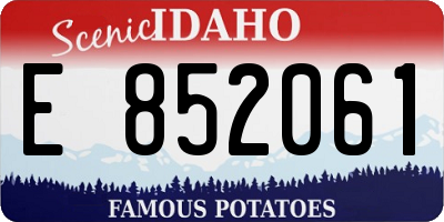 ID license plate E852061