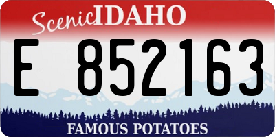 ID license plate E852163