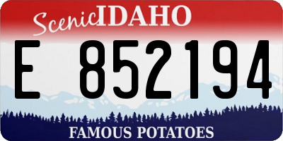 ID license plate E852194