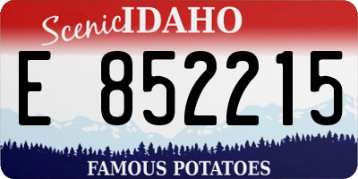 ID license plate E852215
