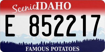 ID license plate E852217