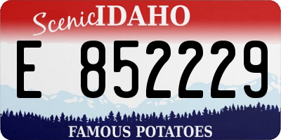 ID license plate E852229