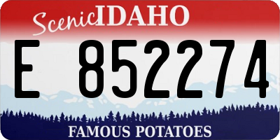 ID license plate E852274