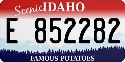 ID license plate E852282