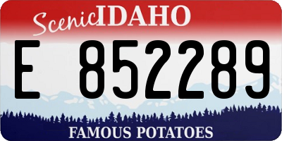 ID license plate E852289