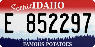 ID license plate E852297