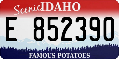 ID license plate E852390