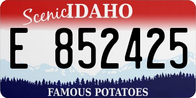 ID license plate E852425
