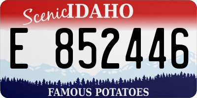 ID license plate E852446