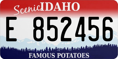 ID license plate E852456