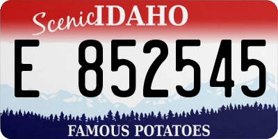 ID license plate E852545