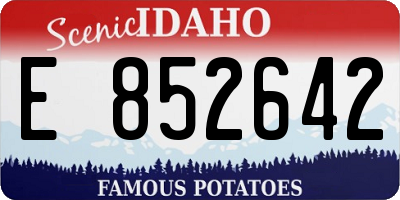 ID license plate E852642
