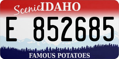 ID license plate E852685