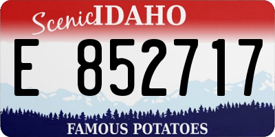 ID license plate E852717
