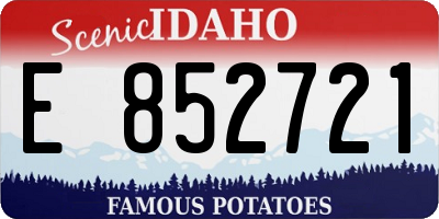 ID license plate E852721