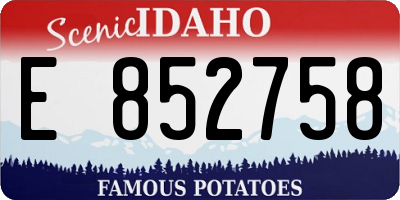ID license plate E852758