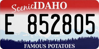 ID license plate E852805