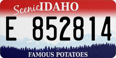 ID license plate E852814