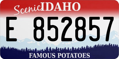 ID license plate E852857