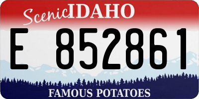 ID license plate E852861