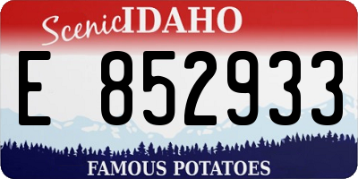 ID license plate E852933
