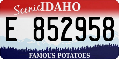 ID license plate E852958
