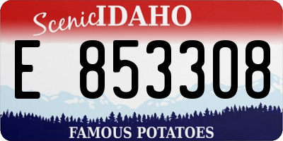 ID license plate E853308