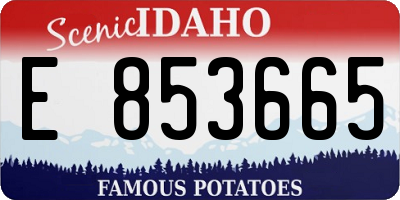 ID license plate E853665