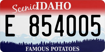 ID license plate E854005