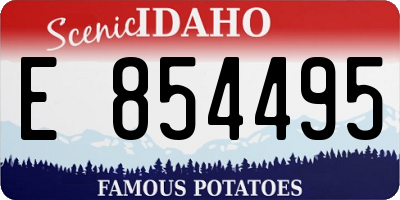 ID license plate E854495