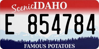 ID license plate E854784