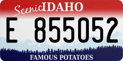 ID license plate E855052