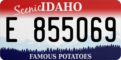 ID license plate E855069