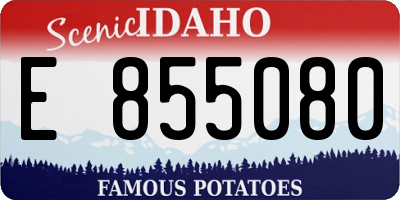ID license plate E855080