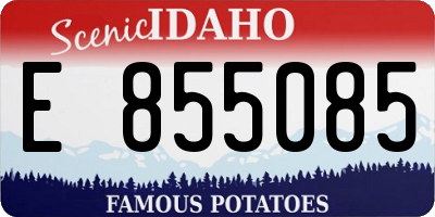 ID license plate E855085