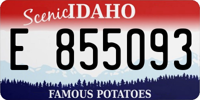ID license plate E855093