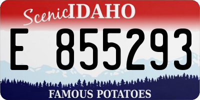 ID license plate E855293