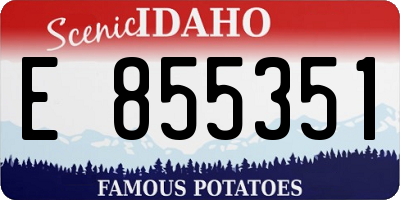 ID license plate E855351