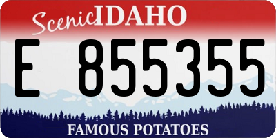 ID license plate E855355