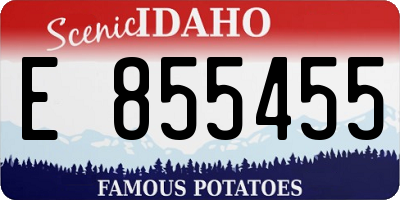 ID license plate E855455